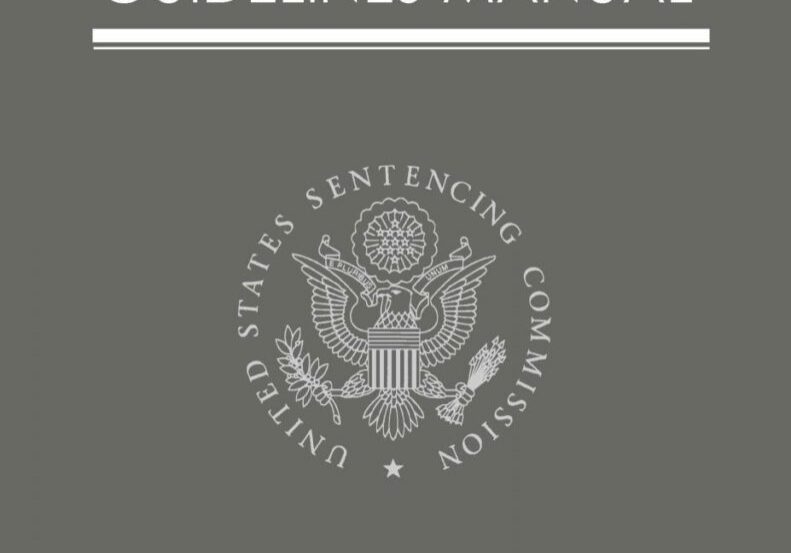 sentencing guidelines manual